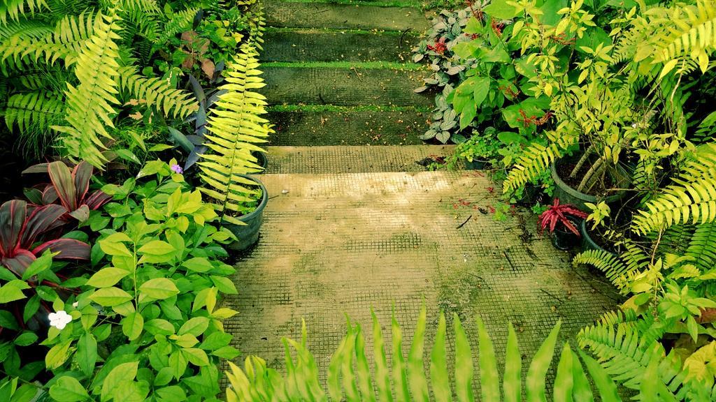 Villa Mariana Kochi Eksteriør billede